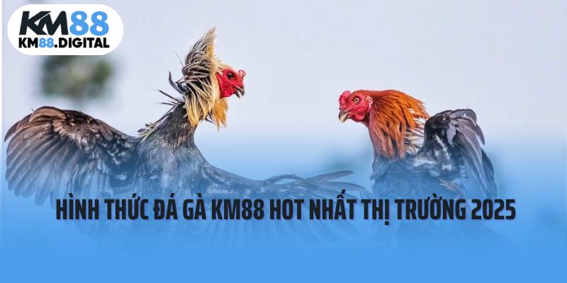 Top 3 hình thức đá gà KM88 hot nhất thị trường 2025