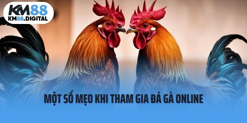 Một số mẹo khi tham gia đá gà online